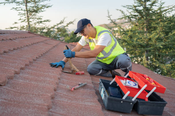Quick and Trustworthy Emergency Roof Repair Services in Wahoo, NE